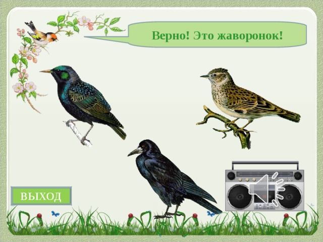 Верно! Это жаворонок! ВЫХОД 