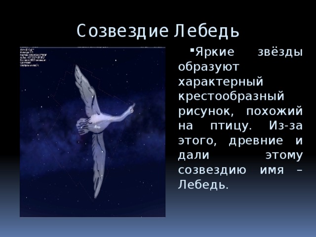 Созвездие Лебедь Яркие звёзды образуют характерный крестообразный рисунок, похожий на птицу. Из-за этого, древние и дали этому созвездию имя – Лебедь. 