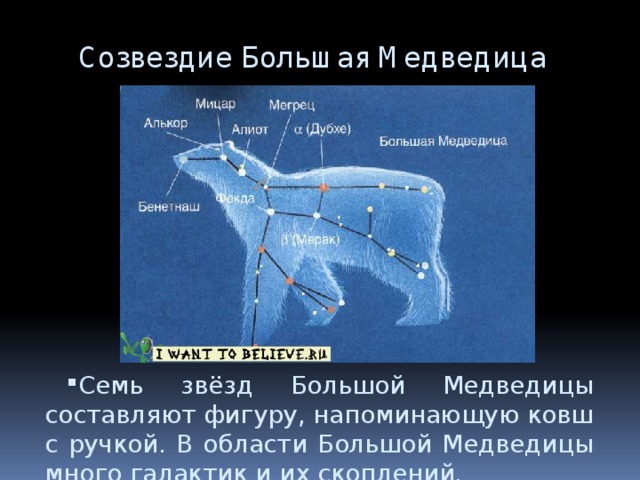 Созвездие Большая Медведица Семь звёзд Большой Медведицы составляют фигуру, напоминающую ковш с ручкой. В области Большой Медведицы много галактик и их скоплений. 
