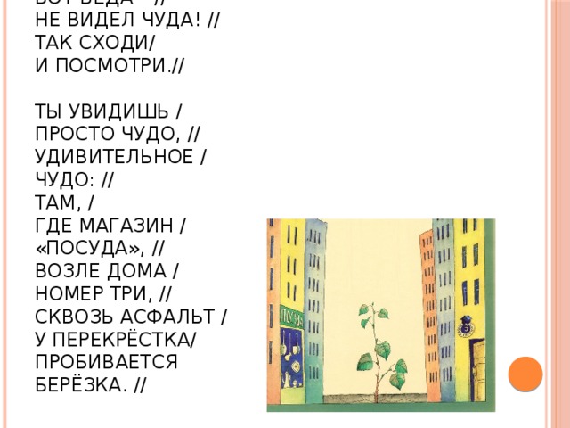 Ты ещё /  Не видел/  Чуда? //  Никогда /  Не видел/  Чуда? //  Вот беда – //  Не видел чуда! //  Так сходи/  И посмотри.//   Ты увидишь /  Просто чудо, //  Удивительное /  Чудо: //  Там, /  Где магазин /  «Посуда», //  Возле дома /  Номер три, //  Сквозь асфальт /  У перекрёстка/  Пробивается  Берёзка. // 