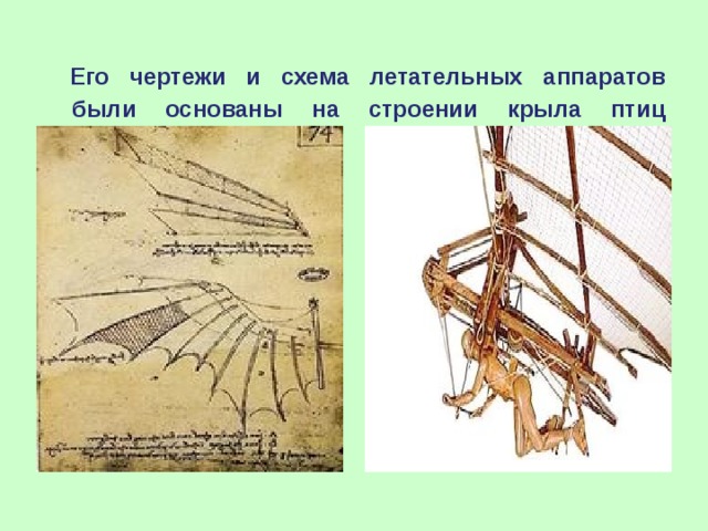   Его чертежи и схема летательных аппаратов  были основаны на строении крыла птиц   
