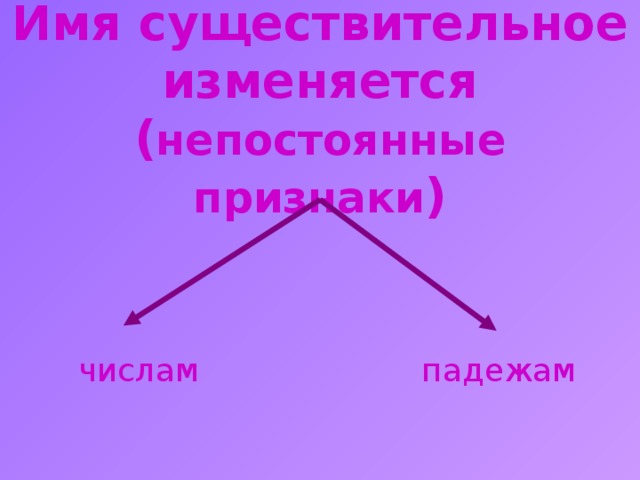 Имя существительное изменяется  ( непостоянные признаки ) числам падежам 