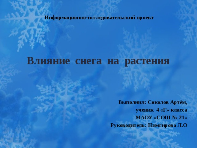 Информационно-исследовательский проект   Влияние снега на растения  Выполнил: Соколов Артём, ученик 4 «Г» класса МАОУ «СОШ № 21» Руководитель: Нимгирова Л.О  