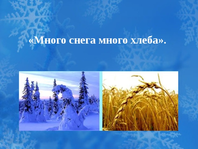 «Много снега много хлеба». 