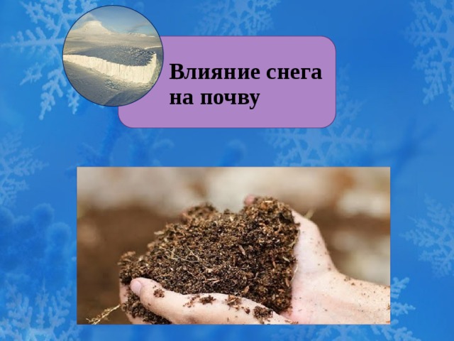 Влияние снега на почву Влияние снега на почву 