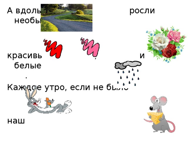 А вдоль росли необыкновенно красивые  , и белые . Каждое утро, если не было , наш  навещал своего друга 