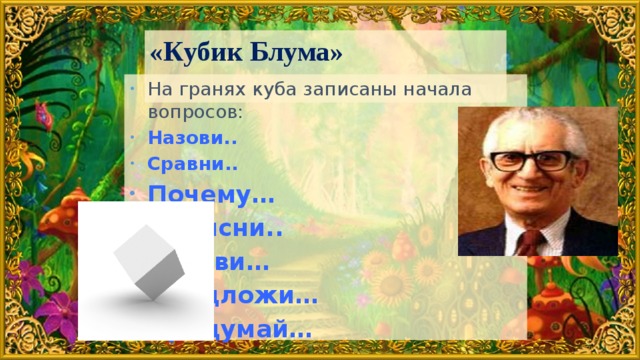«Кубик Блума»