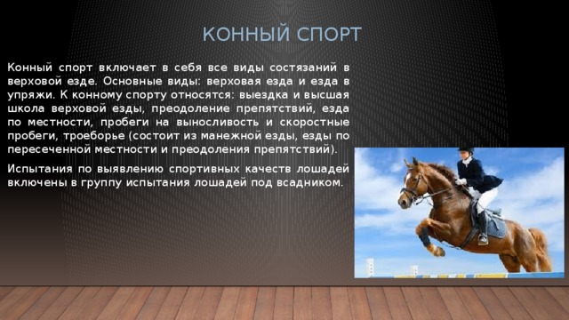 Презентация по конному спорту