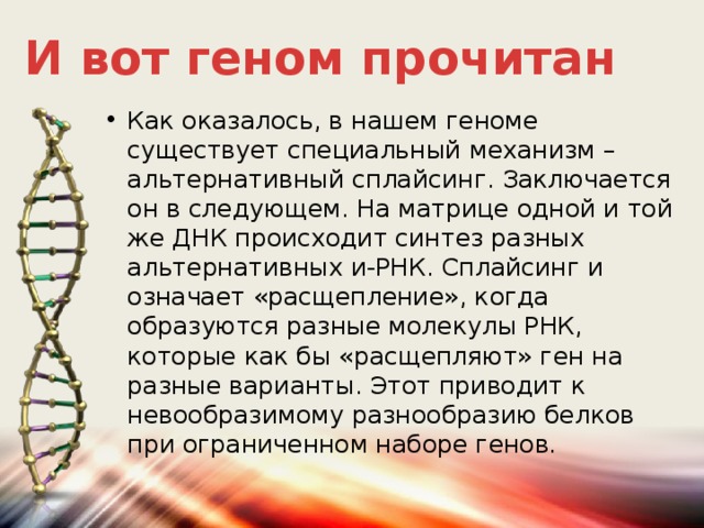 Геном анализы