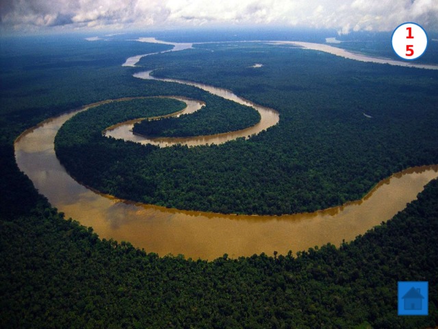 Самая длинная река в мире? 15 Амазонка Нил Нигер 