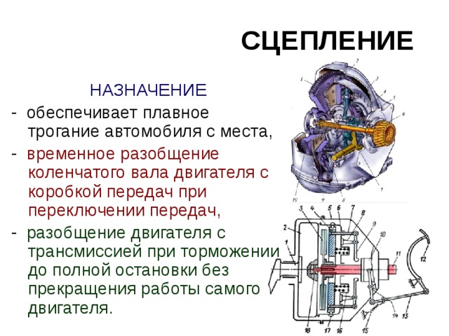 Презентация на тему сцепление