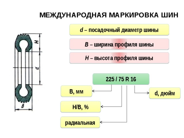 диаметр шины