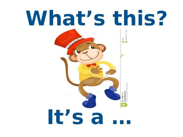 What’s this? It’s a …  