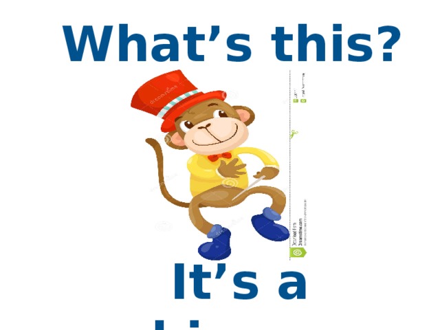 What’s this?  It’s a chimp.  