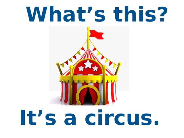 What’s this? It’s a circus.  