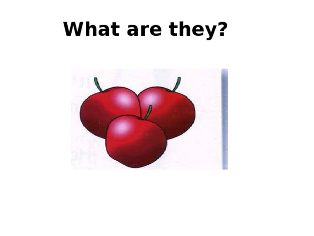  What are they? 