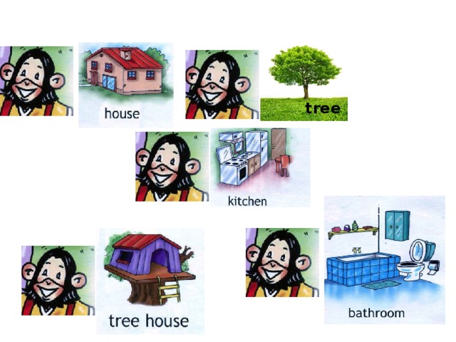  tree 