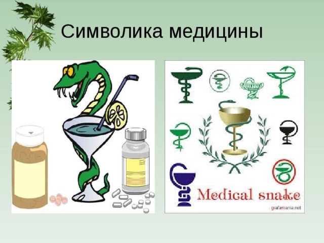 Символика медицины 