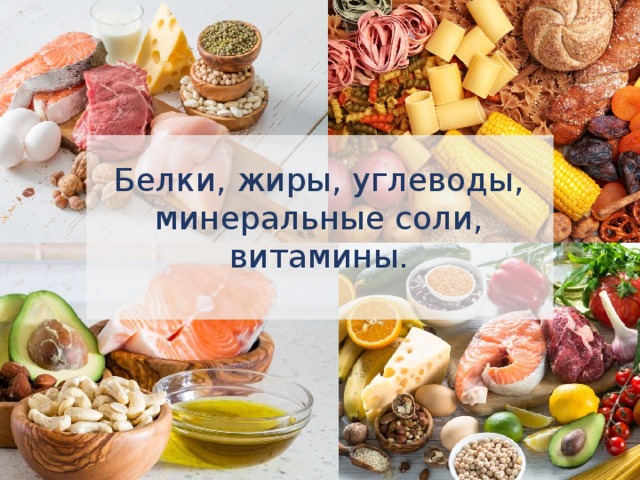 Витамины жиры углеводы