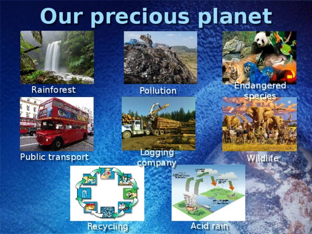 Our precious planet Rainforest Pollution Endangered species Public transport Logging company Wildlife Acid rain Recycling 