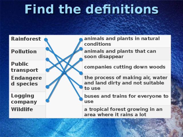 Find the definitions Rainforest Pollution Public transport animals and plants in natural conditions Endangered species animals and plants that can soon disappear companies cutting down woods Logging company the process of making air, water and land dirty and not suitable to use Wildlife buses and trains for everyone to use a tropical forest growing in an area where it rains a lot 