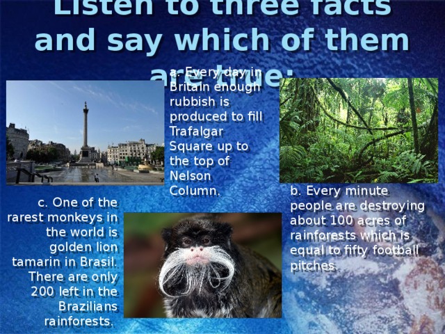 Listen to three facts and say which of them are true: a. Every day in Britain enough rubbish is produced to fill Trafalgar Square up to the top of Nelson Column. b. Every minute people are destroying about 100 acres of rainforests which is equal to fifty football pitches. c. One of the rarest monkeys in the world is golden lion tamarin in Brasil. There are only 200 left in the Brazilians rainforests. 