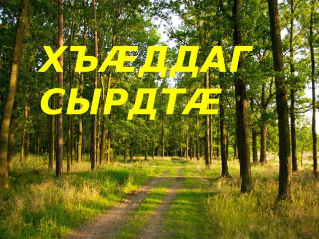 ХЪÆДДАГ СЫРДТÆ  