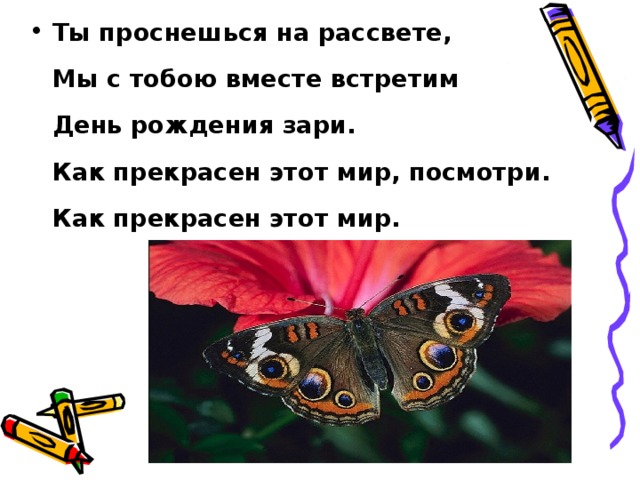 Макс мушта как прекрасен этот мир