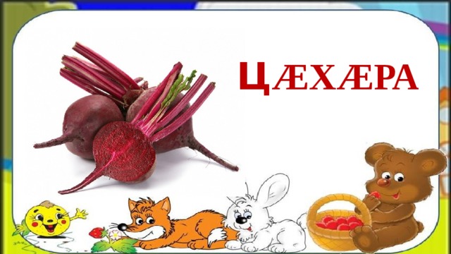 Ц ÆХÆРА 