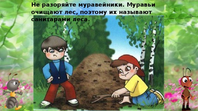 Не разоряй муравейники рисунок