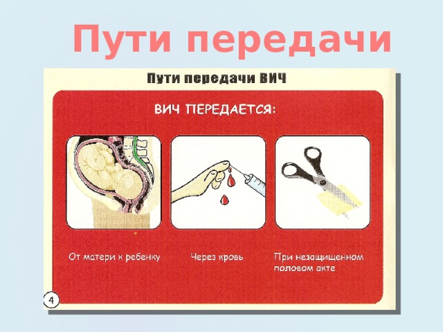 Пути передачи 