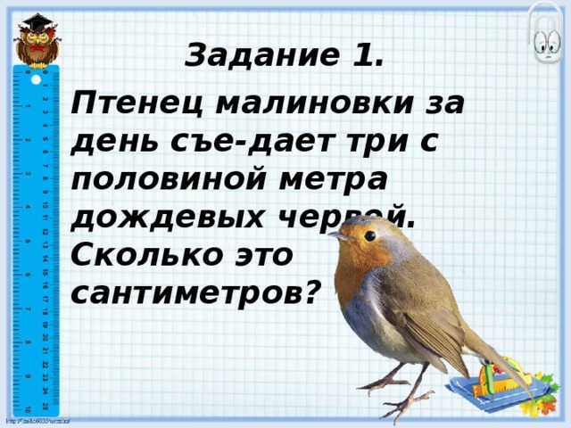 Задание 1. Птенец малиновки за день съе-дает три с половиной метра дождевых червей. Сколько это сантиметров? 