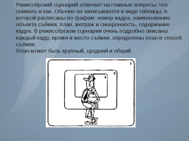 Режиссёрский сценарий отвечает на главные вопросы: что снимать и как. Обычно он записывается в виде таблицы, в которой расписаны по графам: номер кадра, наименование объекта съёмки, план, метраж и синхронность, содержание кадра. В режиссёрском сценарии очень подробно описаны каждый кадр, время и место съёмки, определены план и способ съёмки. План может быть крупный, средний и общий 