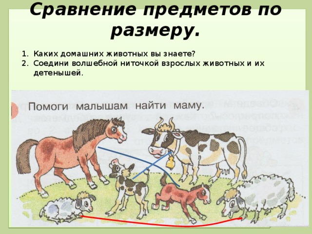 Сравнение предметов по размеру.