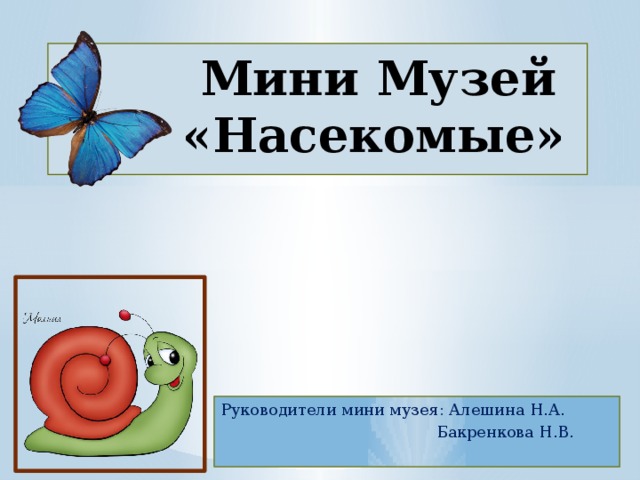 Мини Музей  «Насекомые»