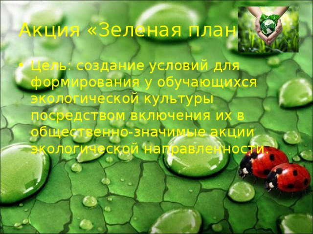 Акция «Зеленая планета» Цель: создание условий для формирования у обучающихся экологической культуры посредством включения их в общественно-значимые акции экологической направленности. 