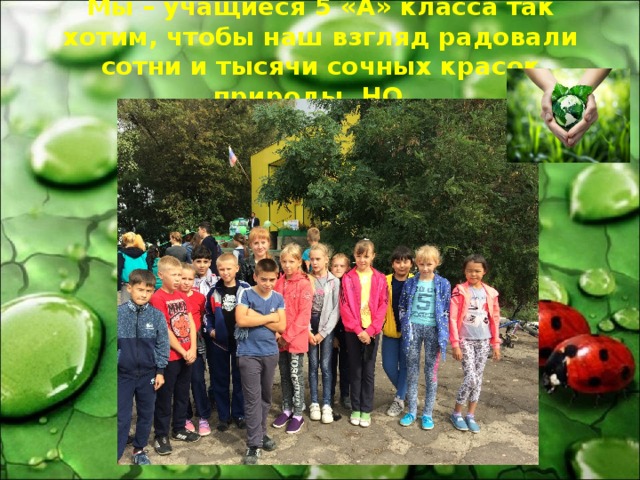 Мы – учащиеся 5 «А» класса так хотим, чтобы наш взгляд радовали сотни и тысячи сочных красок природы. НО…   