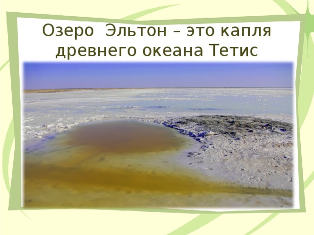 Озеро Эльтон – это капля древнего океана Тетис 