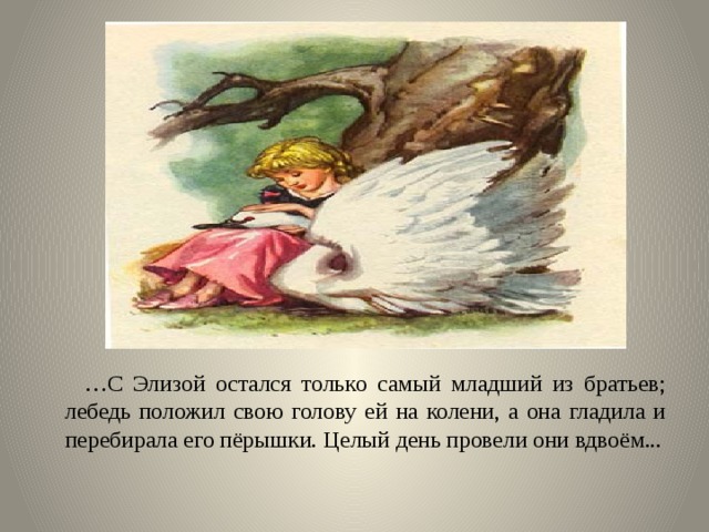 План сказки дикие лебеди. Дикие лебеди младший брат остался с крылом. Младший брат с крылом лебедя. Лебедь закинул голову назад. Младший брат Элизы так и остался с крылом.