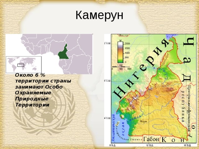 Презентация про камерун