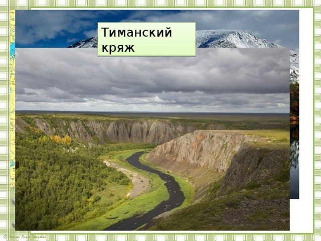 Тиманский кряж 