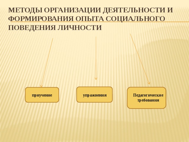 Методы организации деятельности и формирования опыта социального поведения личности приучение упражнения Педагогические требования 