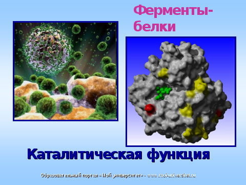 Селектора активное вещество