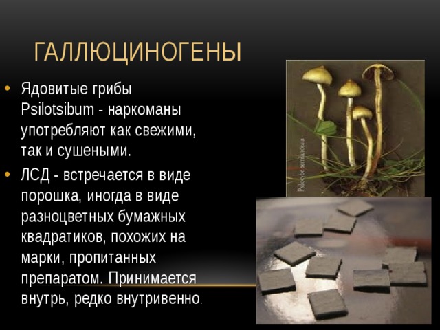 В каком виде употребляют. Галлюциногены марки. Как употреблять лсд. Виды наркотиков галлюциногены. Как употребляют галлюциногены.