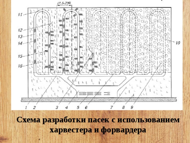 Новая технологическая карта разработки лесосеки