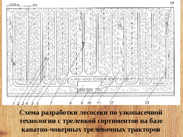 Разработка лесосеки схема