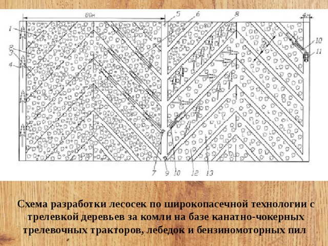 Разработка лесосеки схема