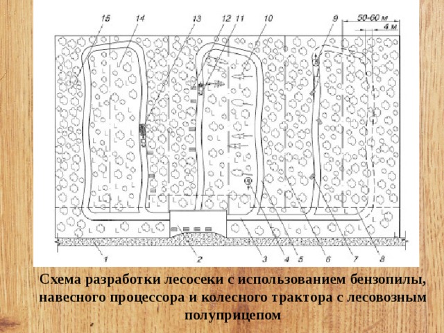 Технологическая карта образец лесосеки