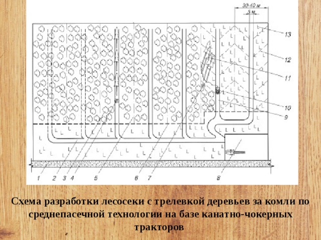 Определение лесосеки. Схема разработки лесосеки Харвестером. Среднепасечная технология разработки лесосек схема. Технологии разработки лесосек схемы. Узкопасечная технология разработки лесосеки.