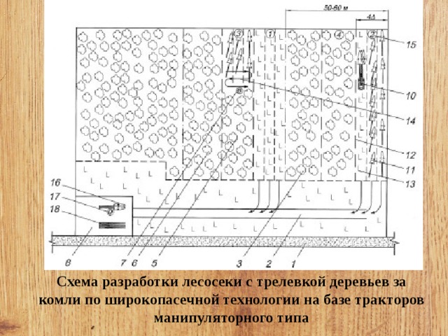 Схема отвода лесосек